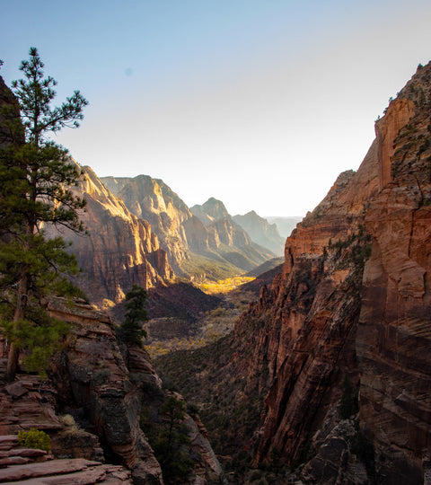 NMDC B-Roll Series #0005 - Zion National Park