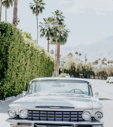 NMDC B-Roll Series #0004 - Palm Springs — California